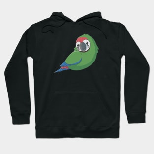 Cute fluffy military macaw Hoodie